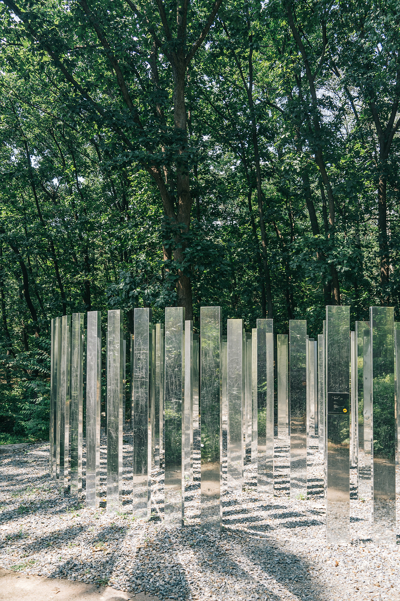 거울미로_예페 하인 (1).jpg