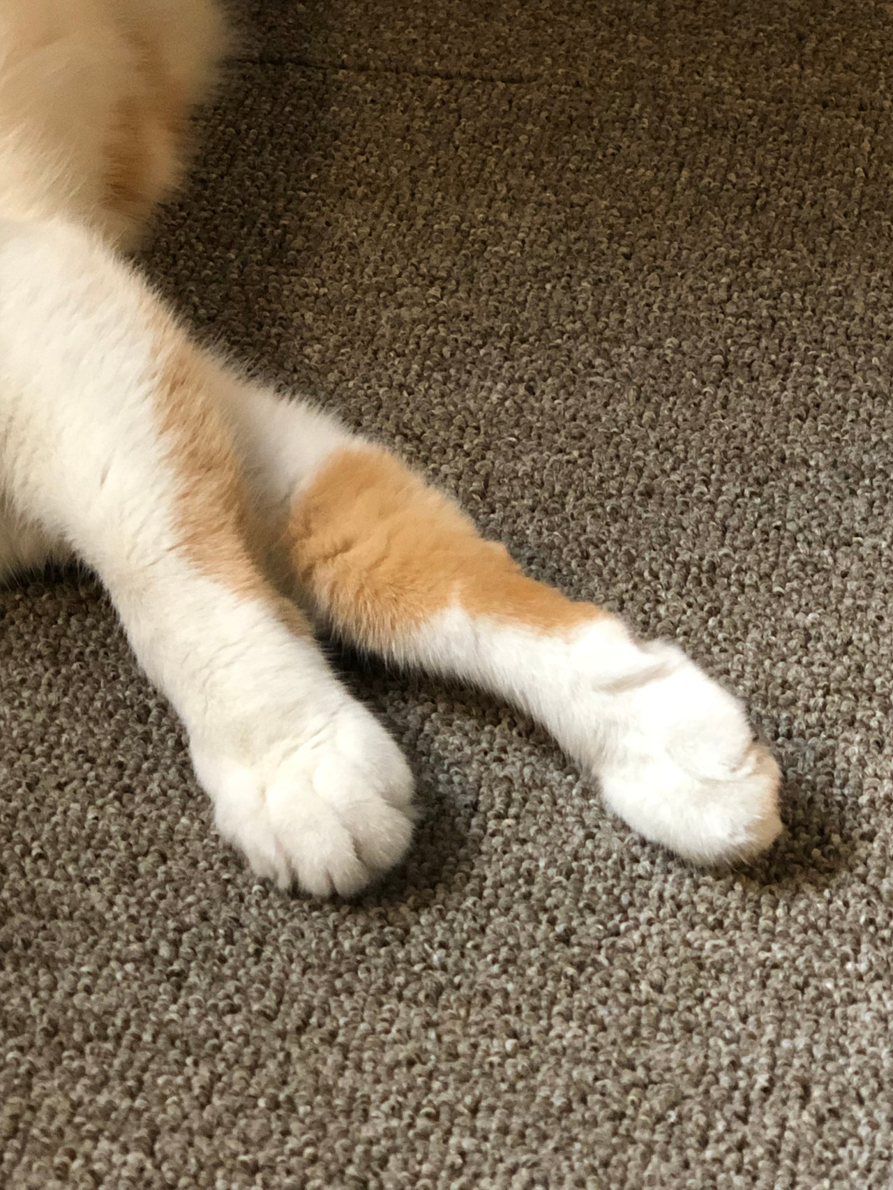 2019-09-14 12.45.07.jpg