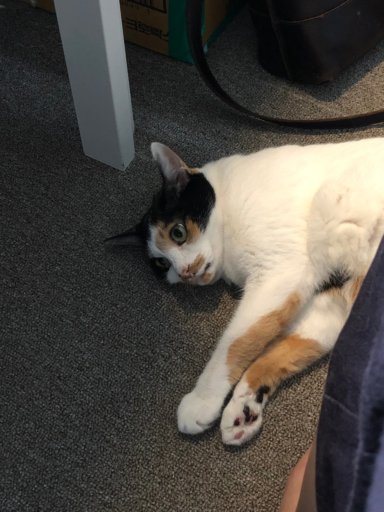 2019-09-12 15.04.39.jpg