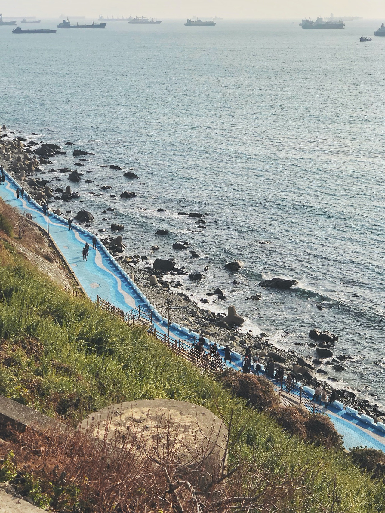 resize_Snapseed 8.jpg