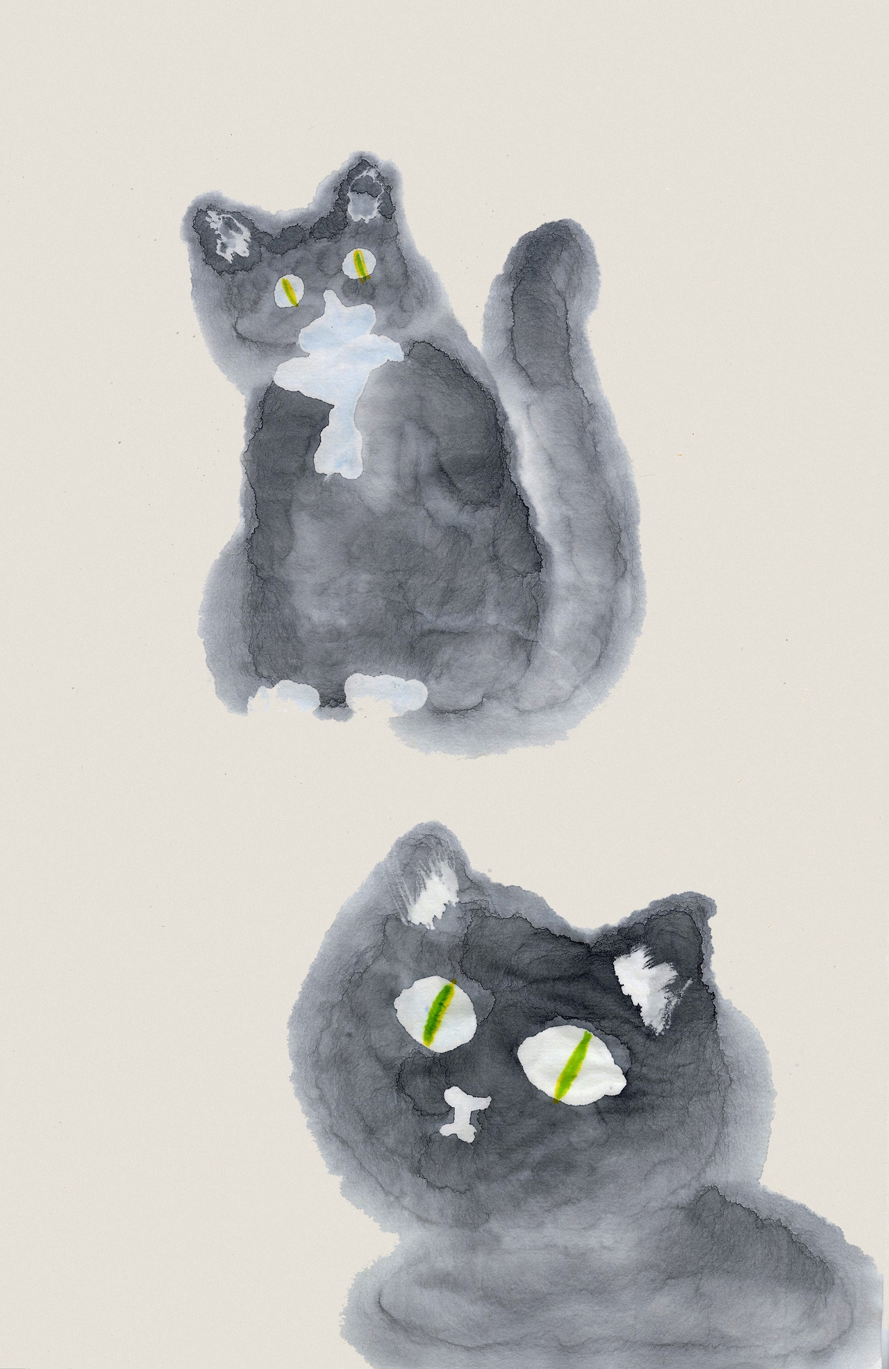 고양이 보정.jpg