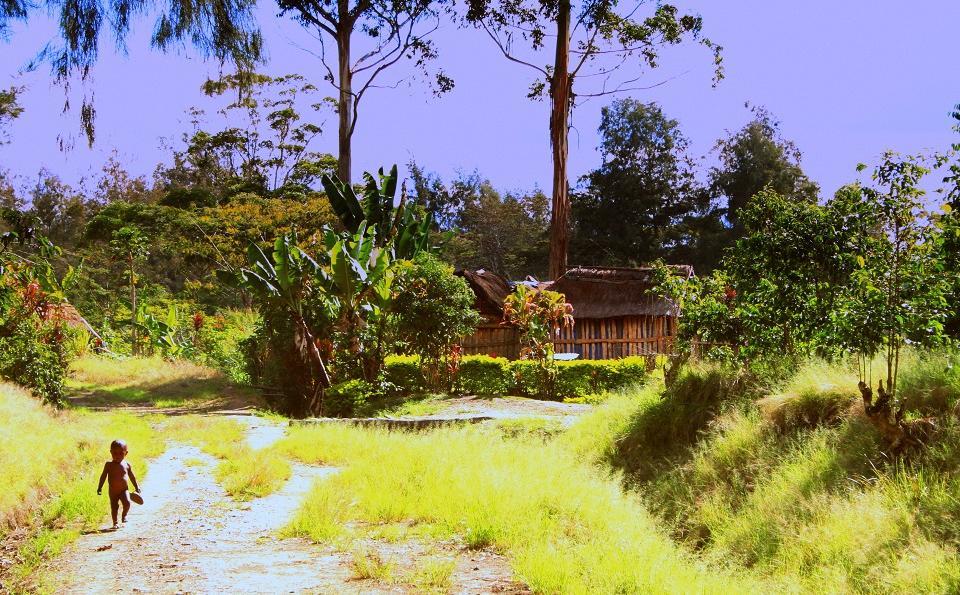 KenyaKamagogo (1).jpg