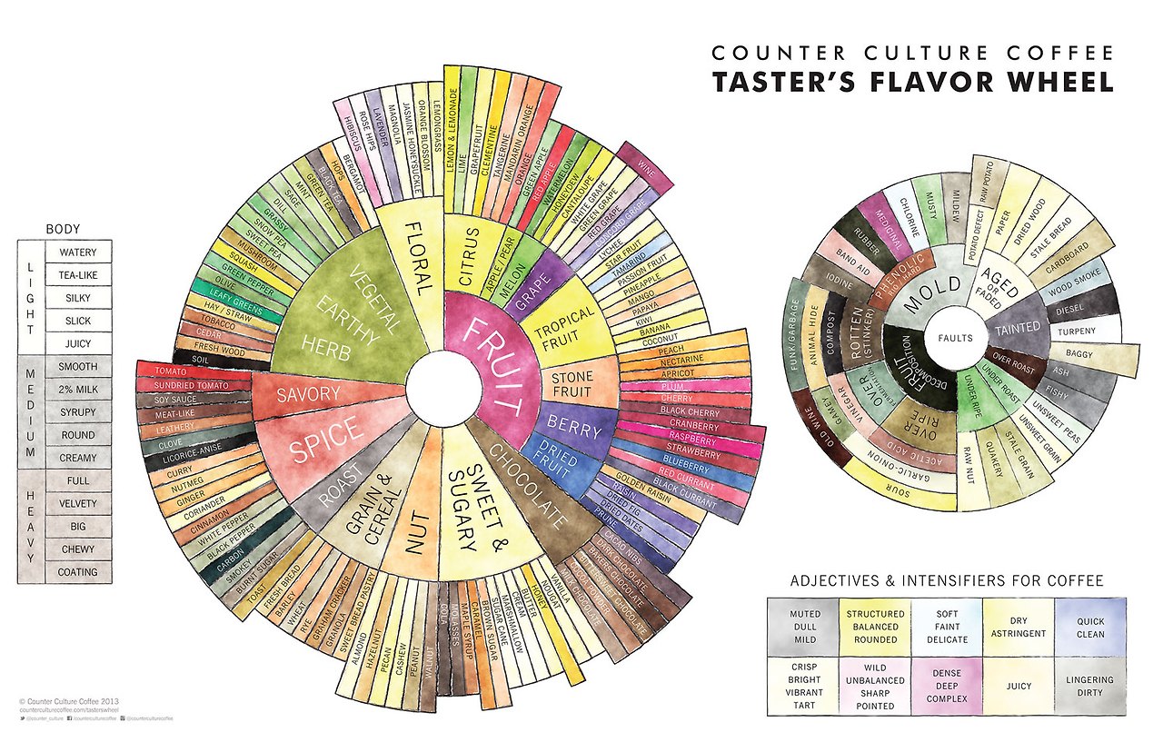counter_culture_flavor_wheel1.jpg