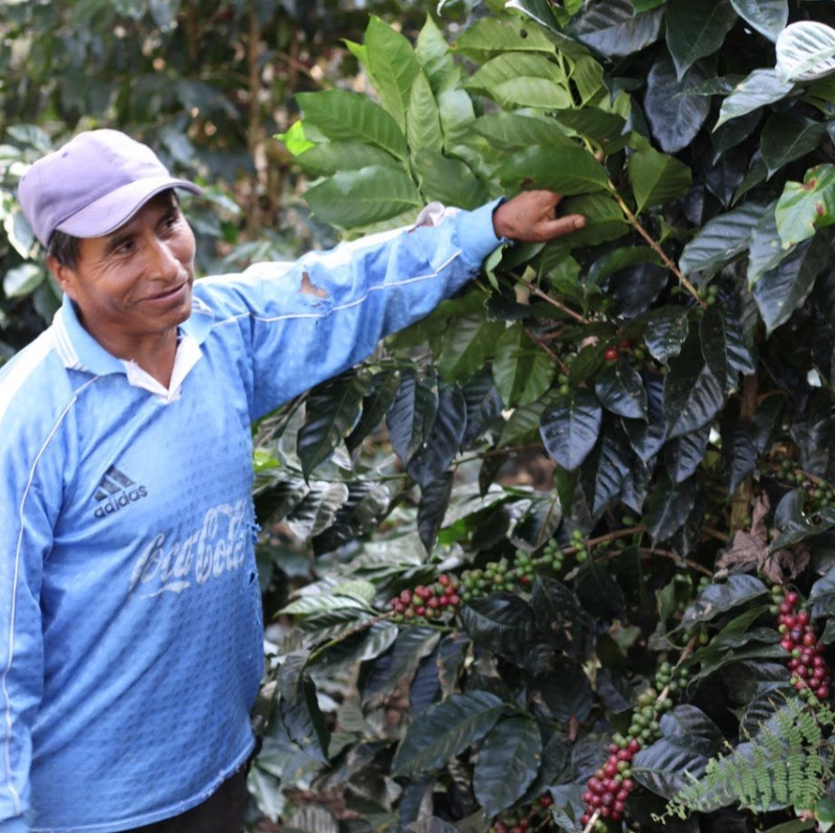 테오도시오 7.jpg