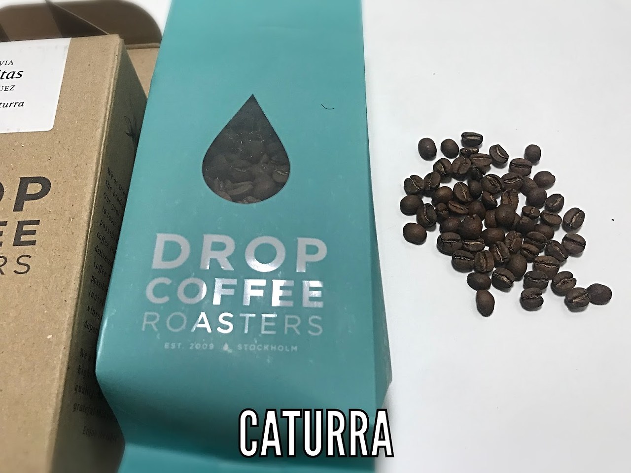 아틀라스볼리비아카투라 1.jpg