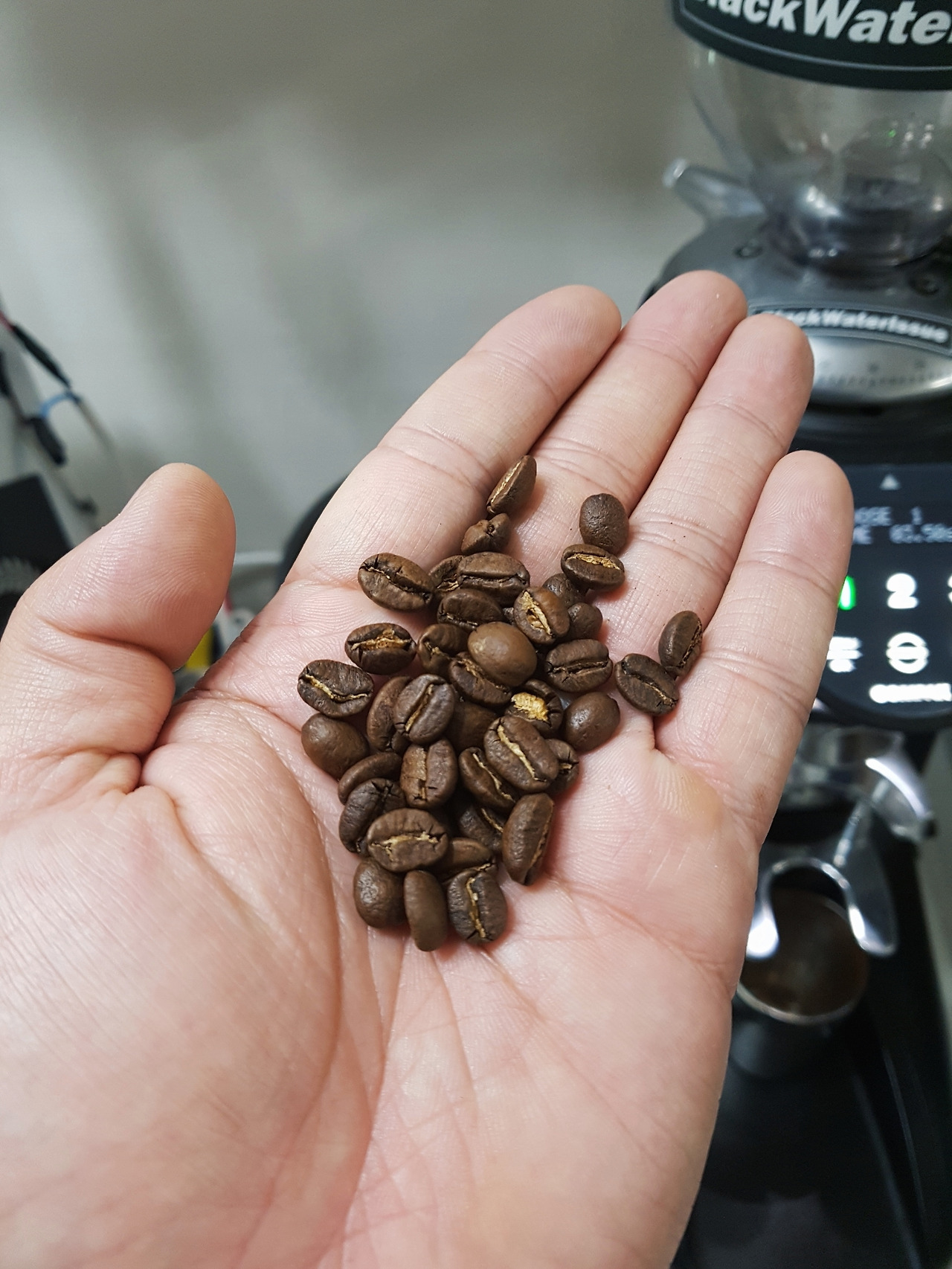 2017-10-06 08.33.50 1.jpg