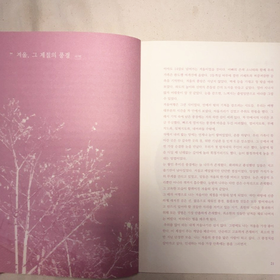 싱클레어 (4).jpg