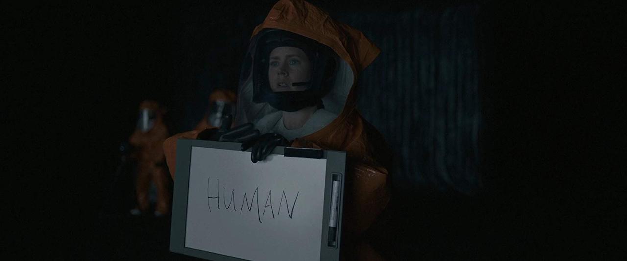 arrival6.jpg