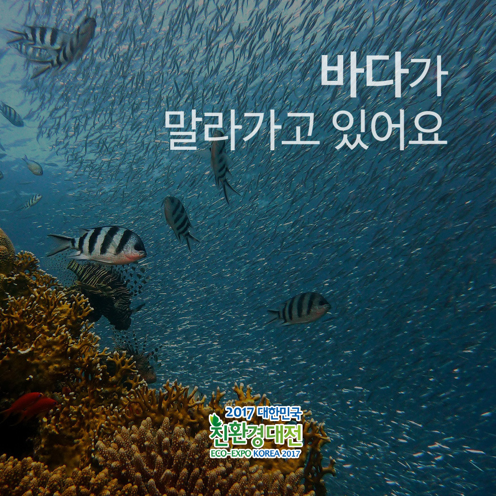 표지 사본 복사.jpg