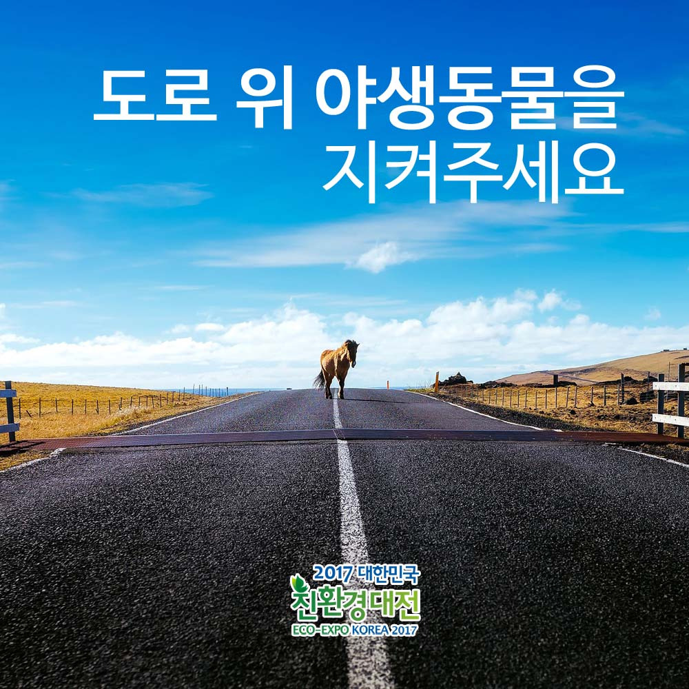 표지 사본 복사.jpg