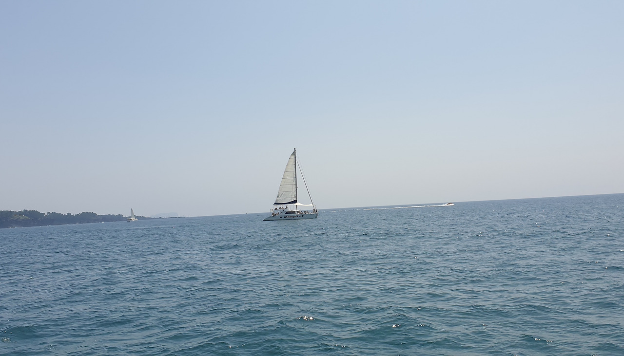 20200817_115151 (1).jpg