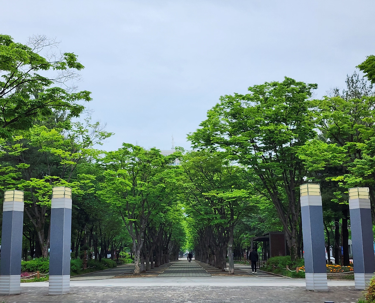 20230507_105530 (1).jpg