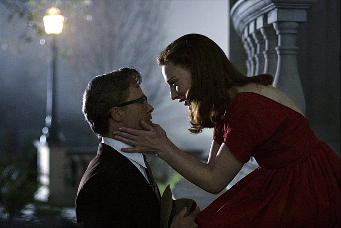 벤자민 데이지 기회.jpg