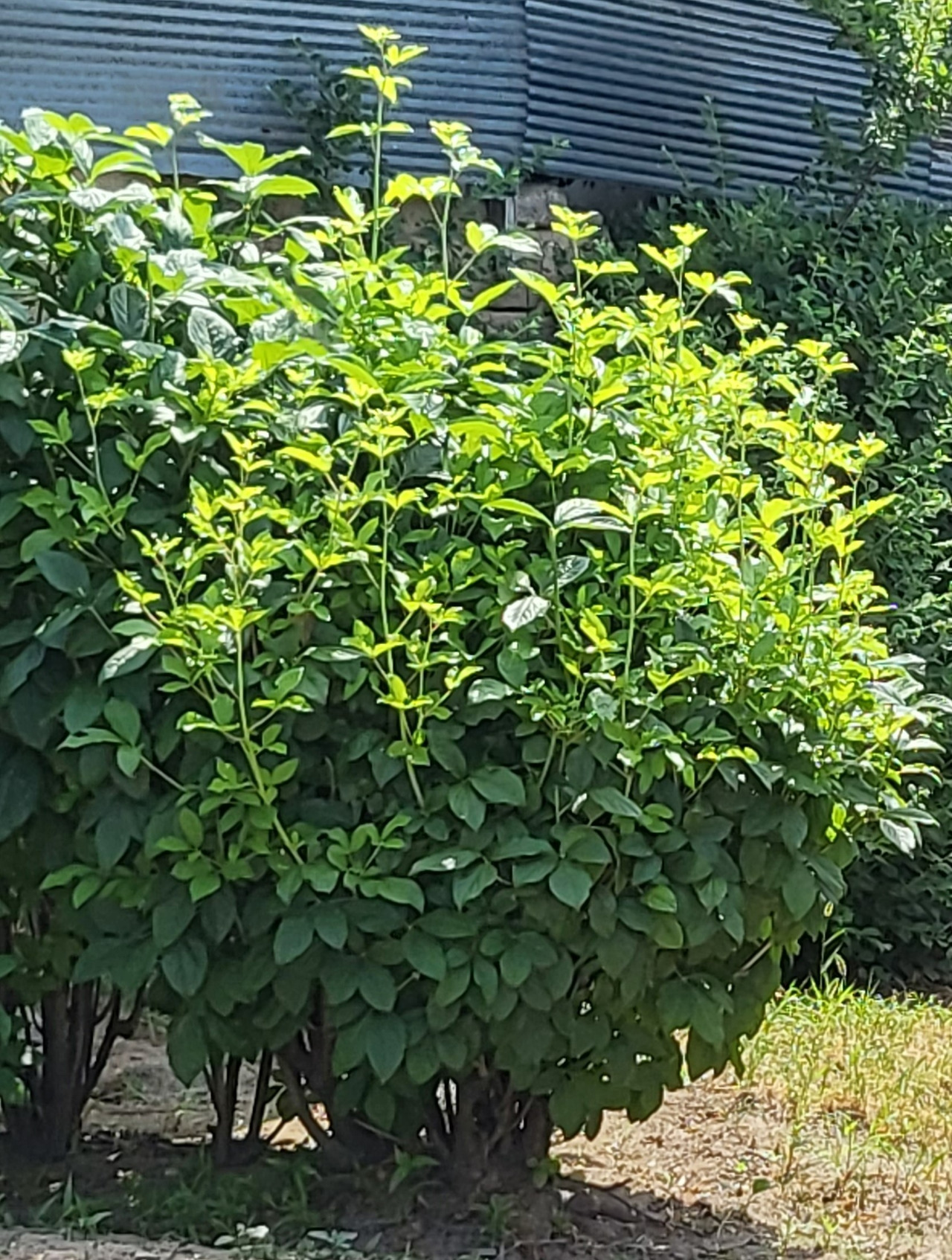 20220603_101849 (3).jpg