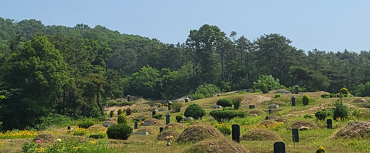 20220603_095700 (2).jpg