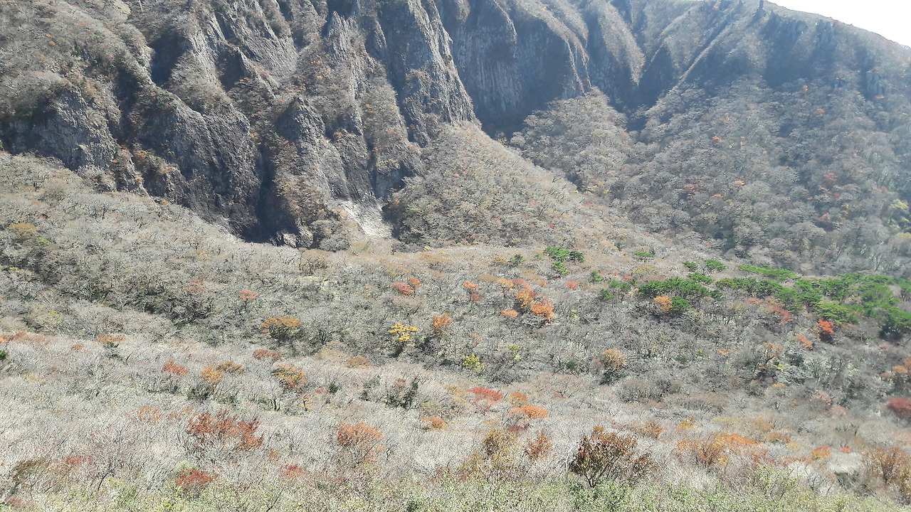 영실계곡 단풍.jpg