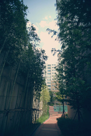 20 - 아파트 3.jpg