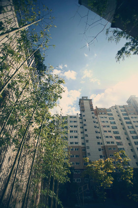 20 - 아파트 2.jpg