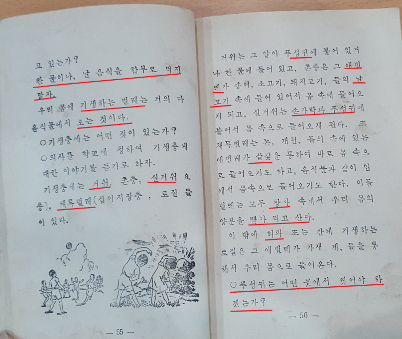 [크기변환]맞춤토박이말-169  거위 실거위 붙어살이벌레 샘창자벌레 마디벌레.jpg
