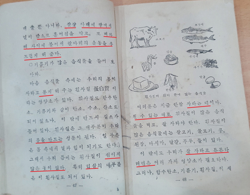 [크기변환]맞춤토박이말-165  살갗 붇다 힘살.jpg
