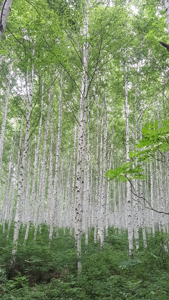 P14-눈부시다 그대오후.jpg