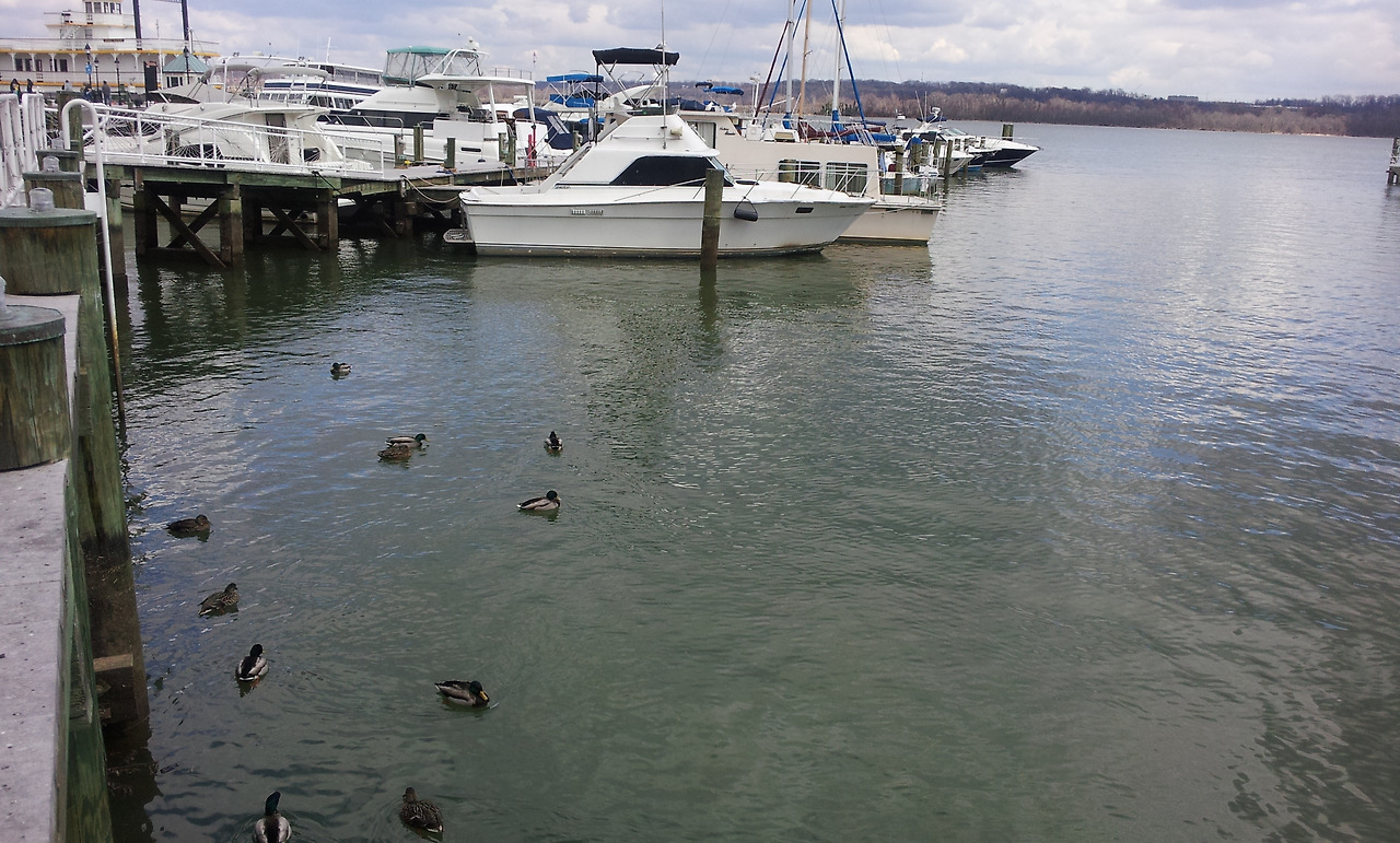 2013-03-26 13.48.11.jpg