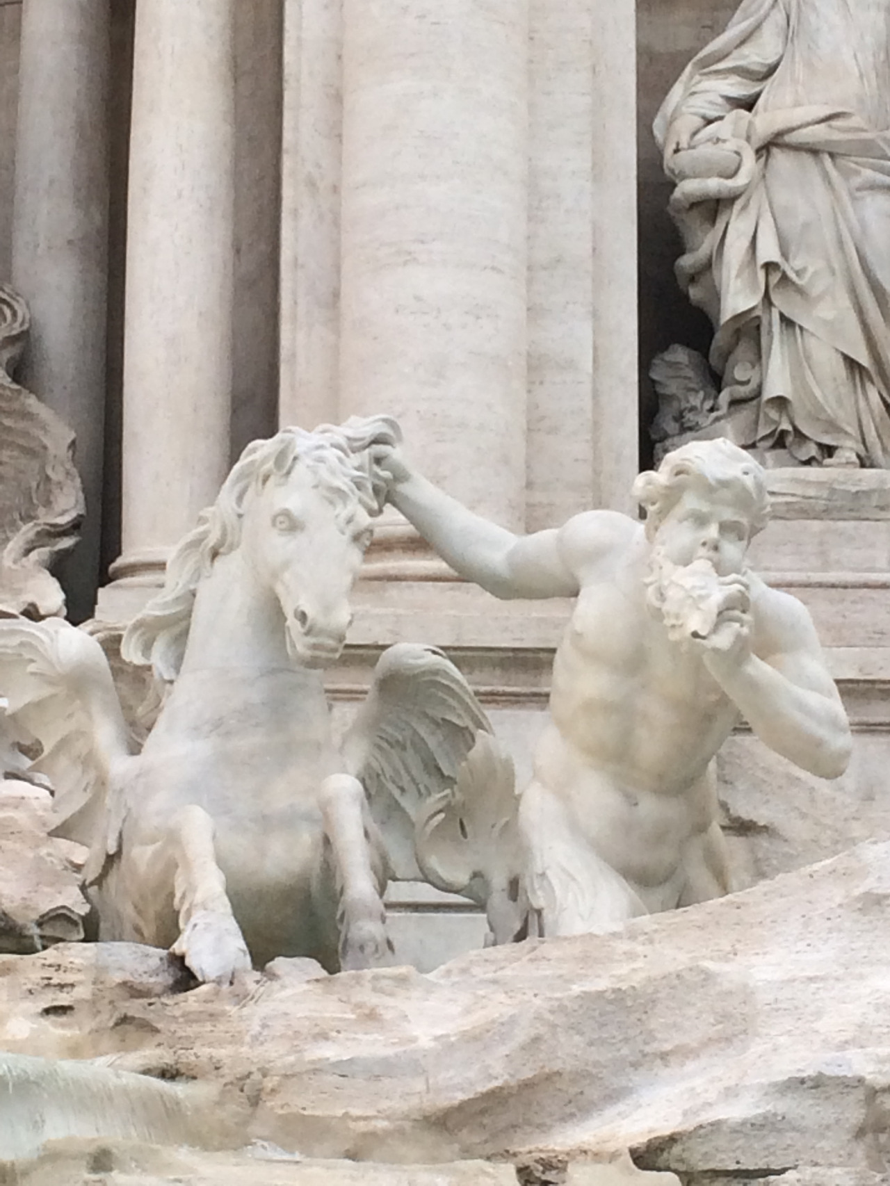 2016-05-25 07.52.58.jpg