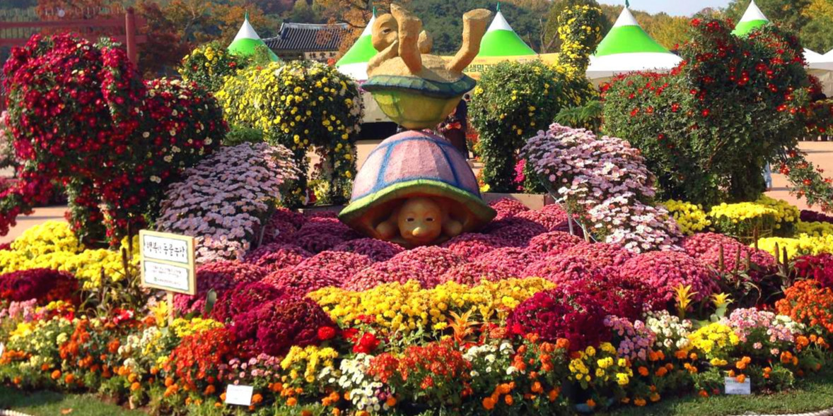 P20171105_123003874_BE201D9D-59D7-450A-8CE1-47A2E81BA9F3 (1).jpg