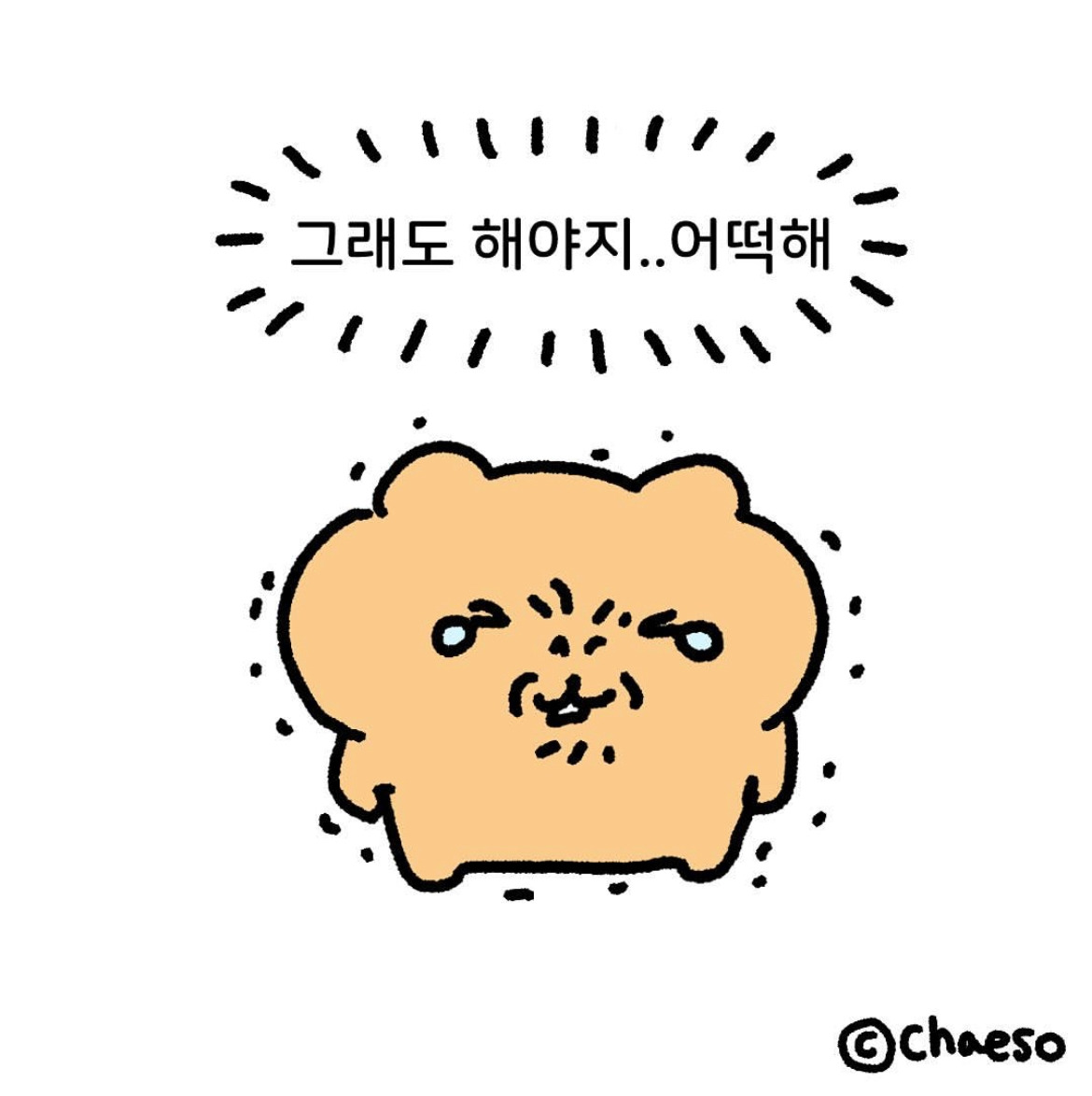 그래도해야지어떡해_chaeso.jpg