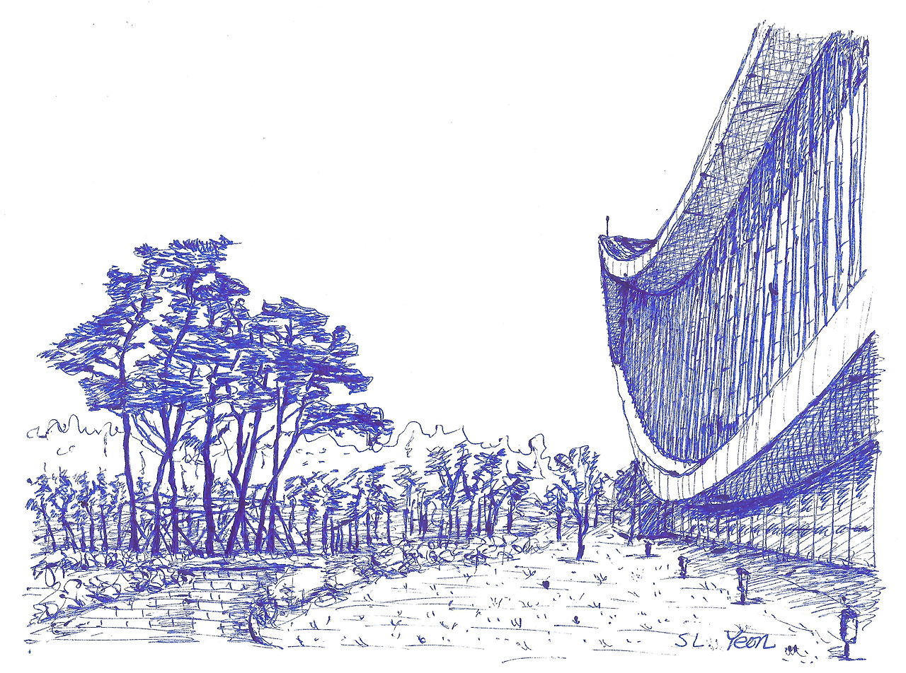 도서관 소나무-.jpg