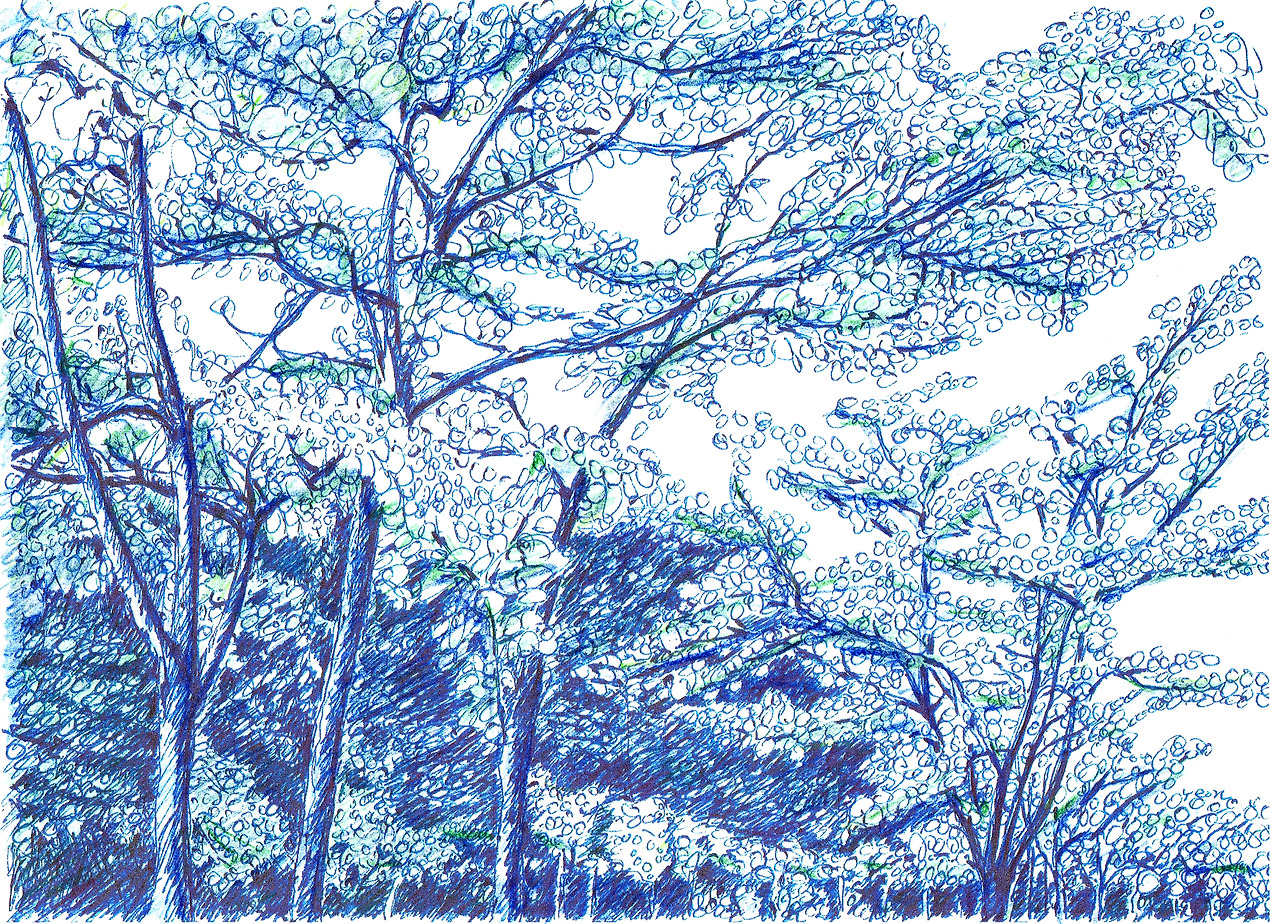 이판 스케치-.jpg