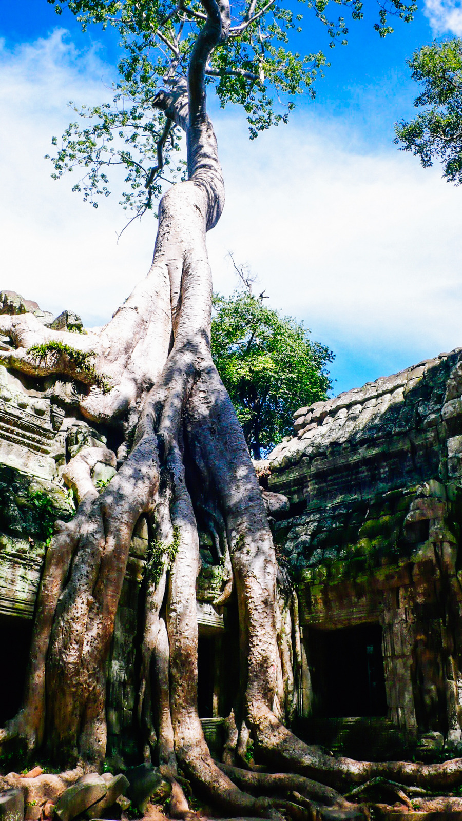 따프롬 (3)_ret.jpg