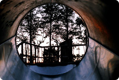 보 Pentax MeSuper _ Centuria100.jpg