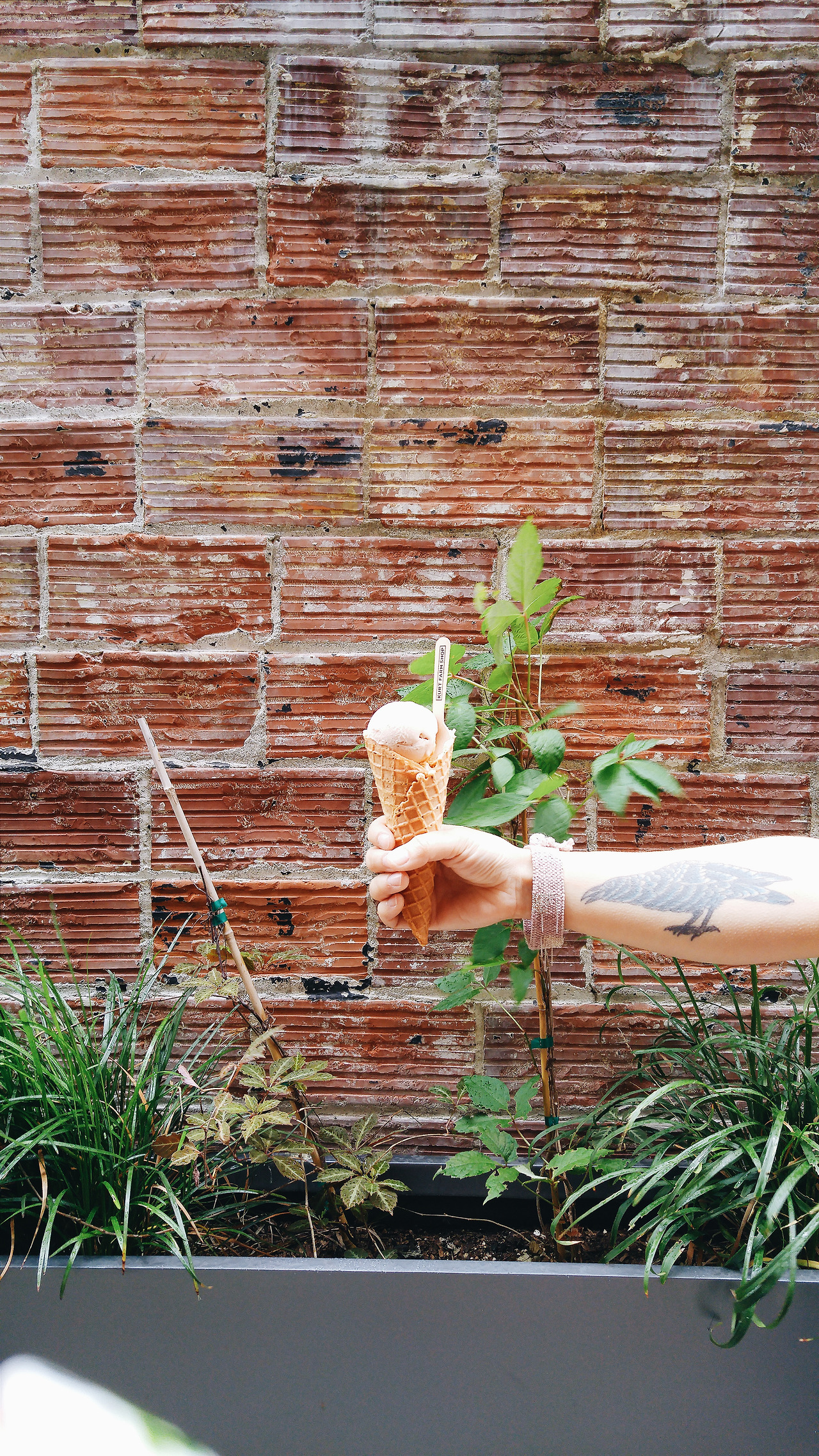 2016-06-23 07.31.30 1.jpg