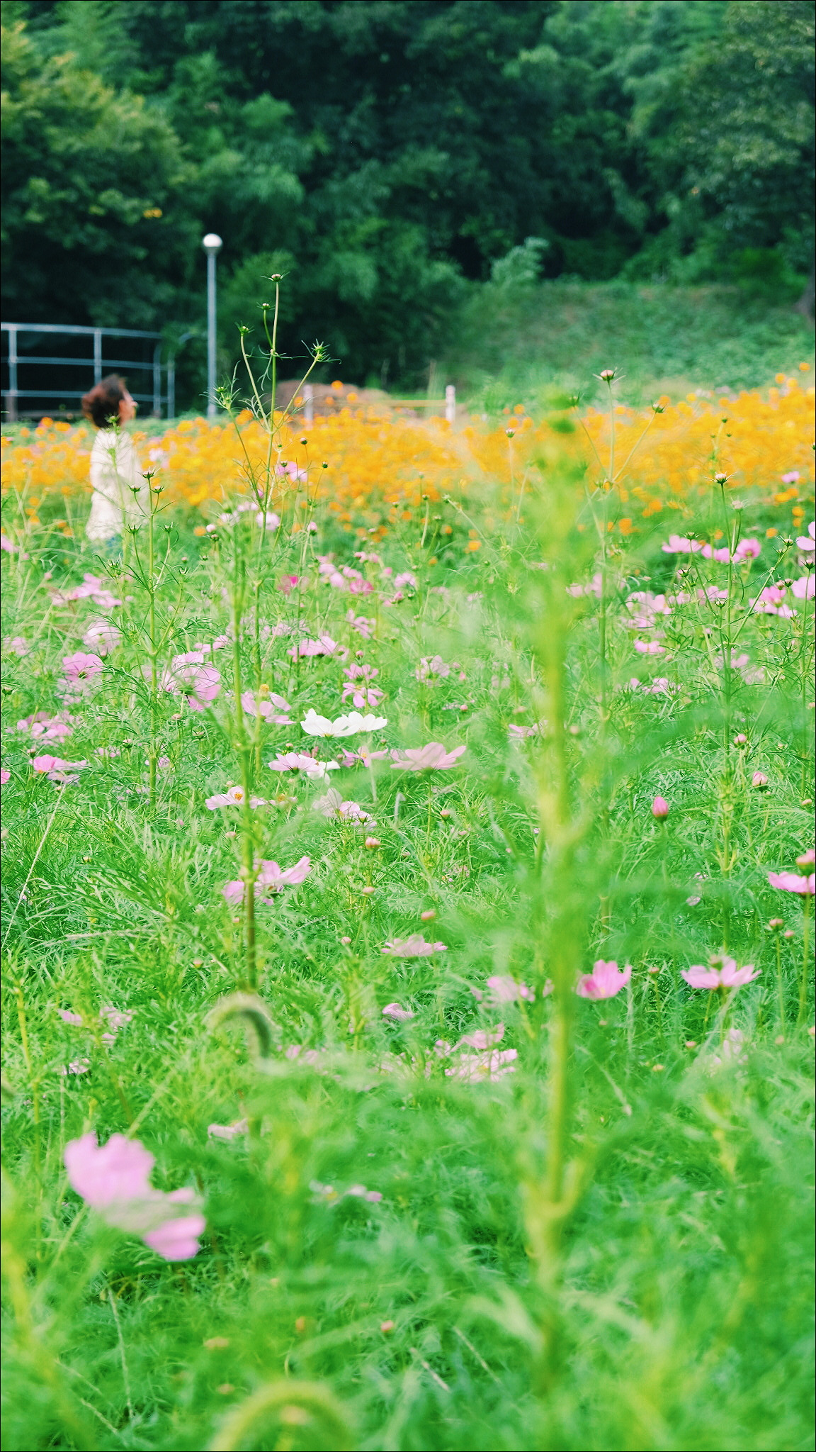 2017-09-19 04.49.52 1.jpg