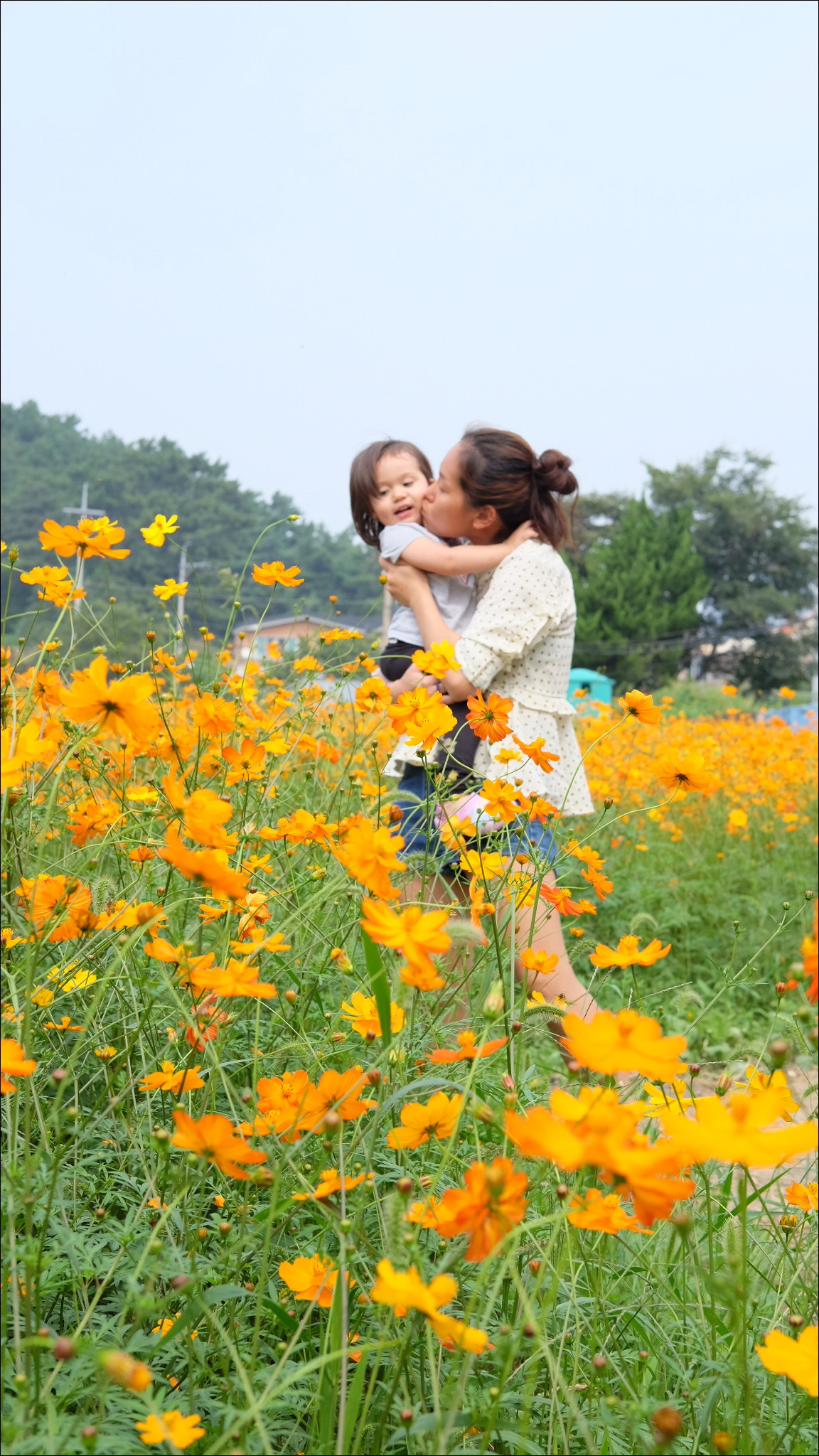 2017-09-19 04.49.27 1.jpg