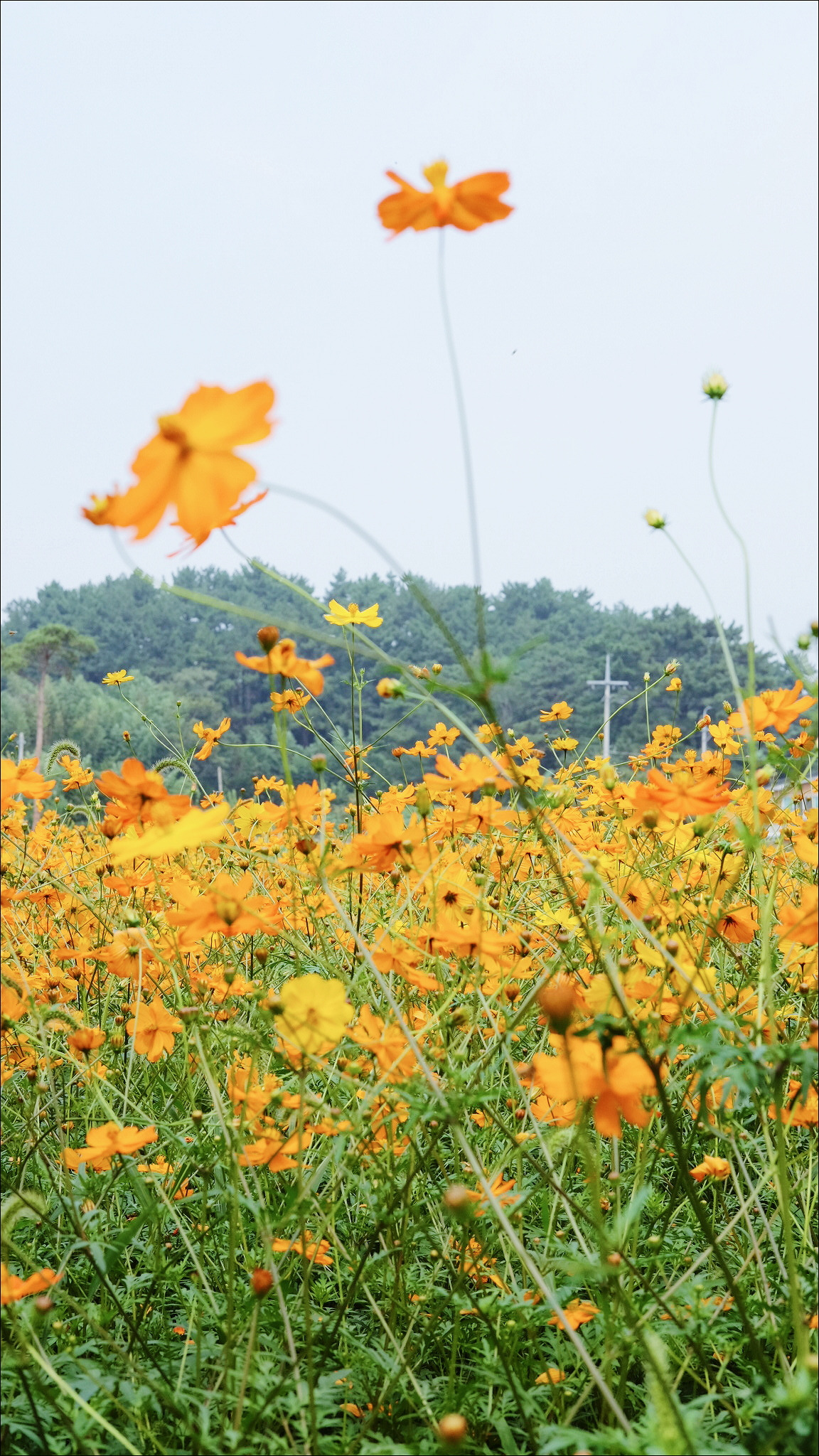 2017-09-19 02.52.25 1.jpg