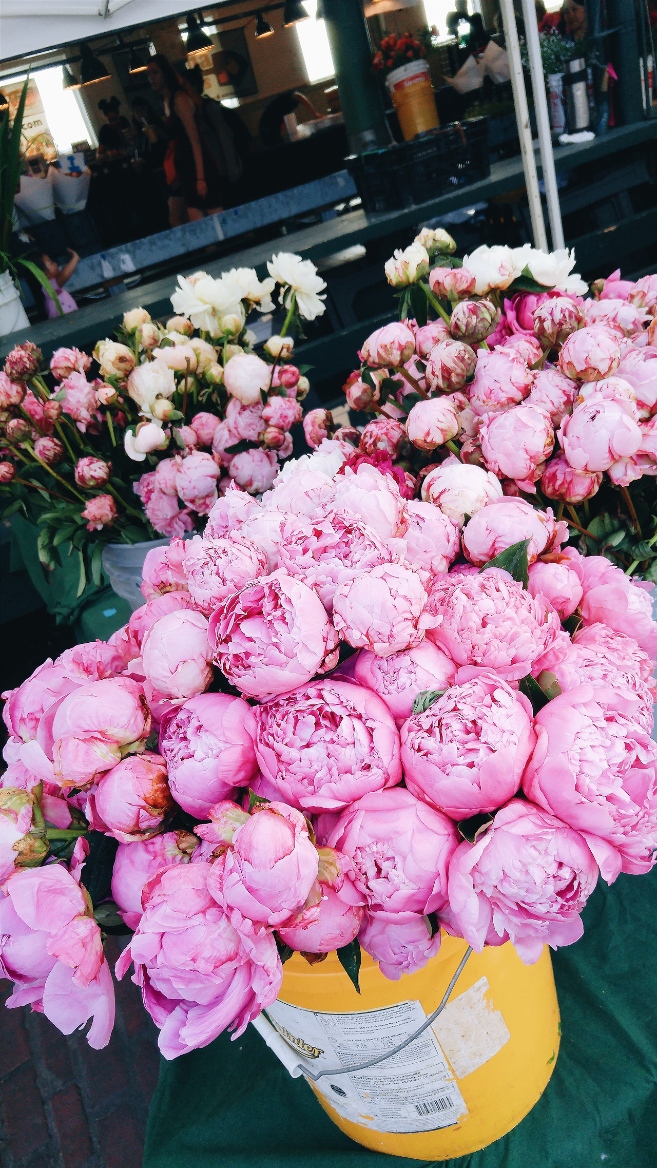 2016-06-22 10.12.24 1.jpg