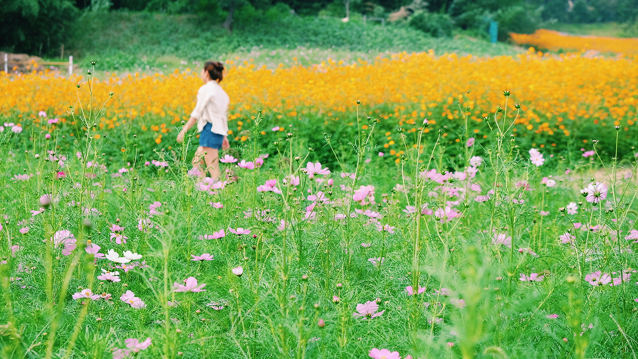 2017-09-19 04.49.57 1.jpg