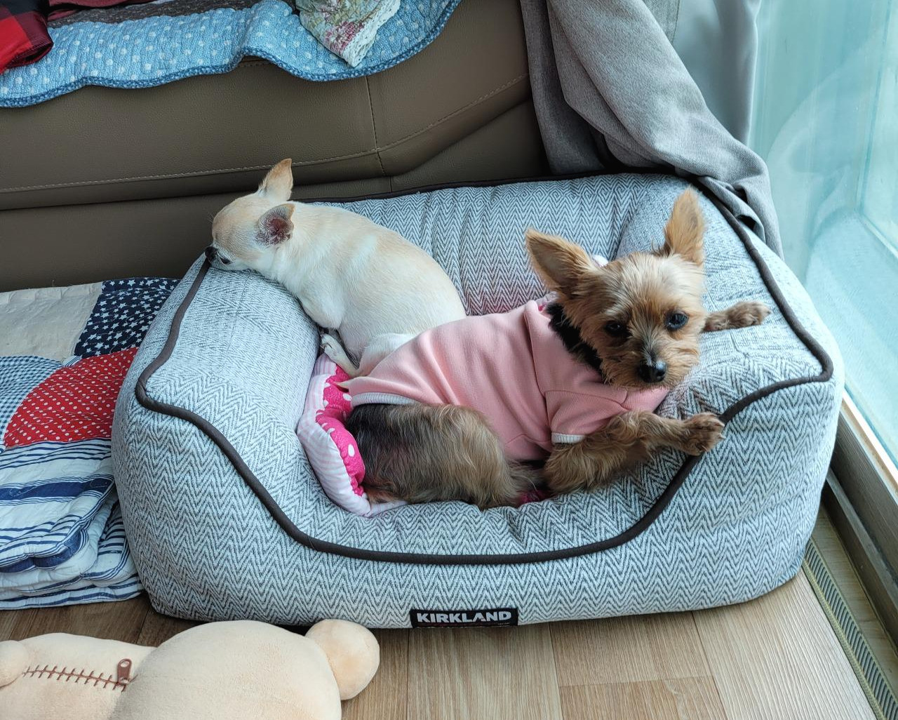 카지노 게임 추천