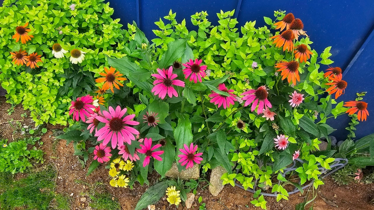 Emotion_Here and Now_writer_사진_20250728_27.jpg