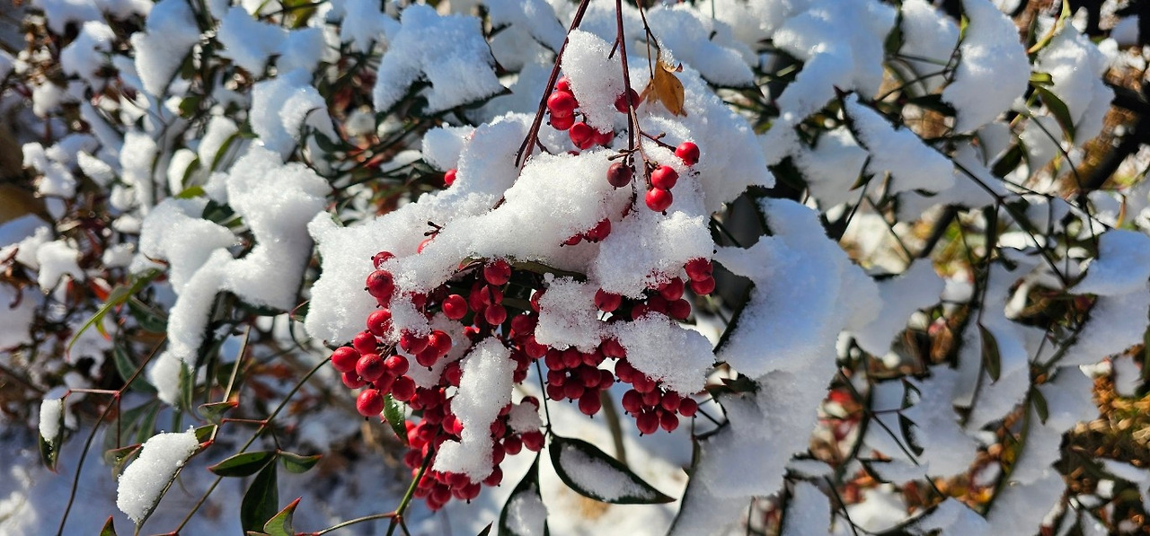 Emotion_Here and Now_writer_사진_20251205_12.jpg