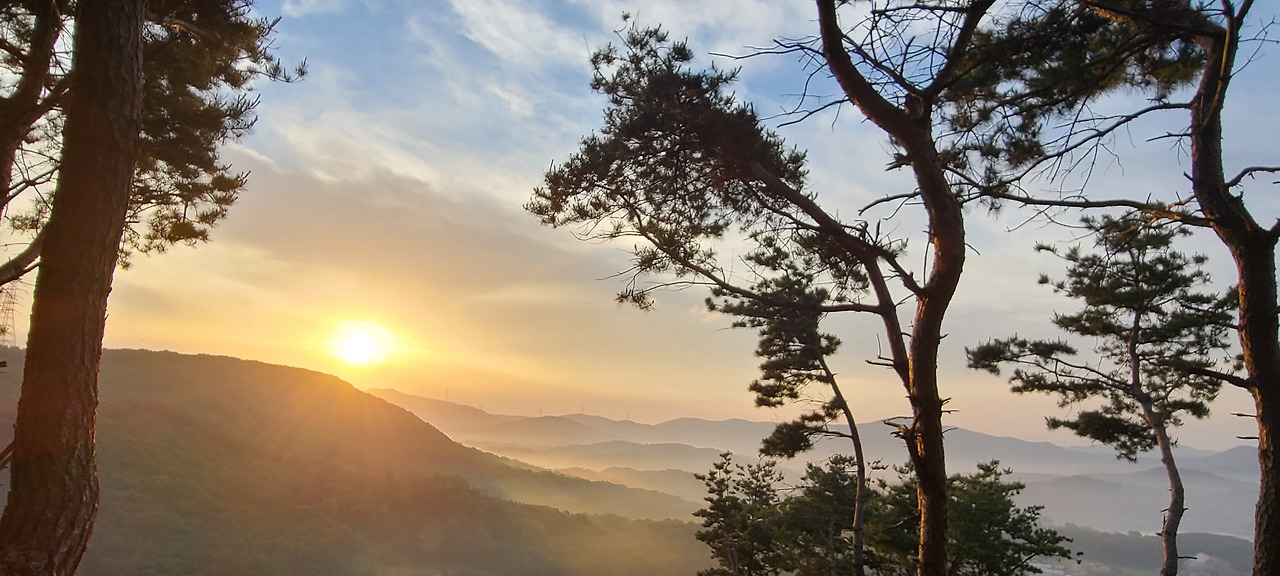 20210603_054255 - 복사본 - 복사본.jpg