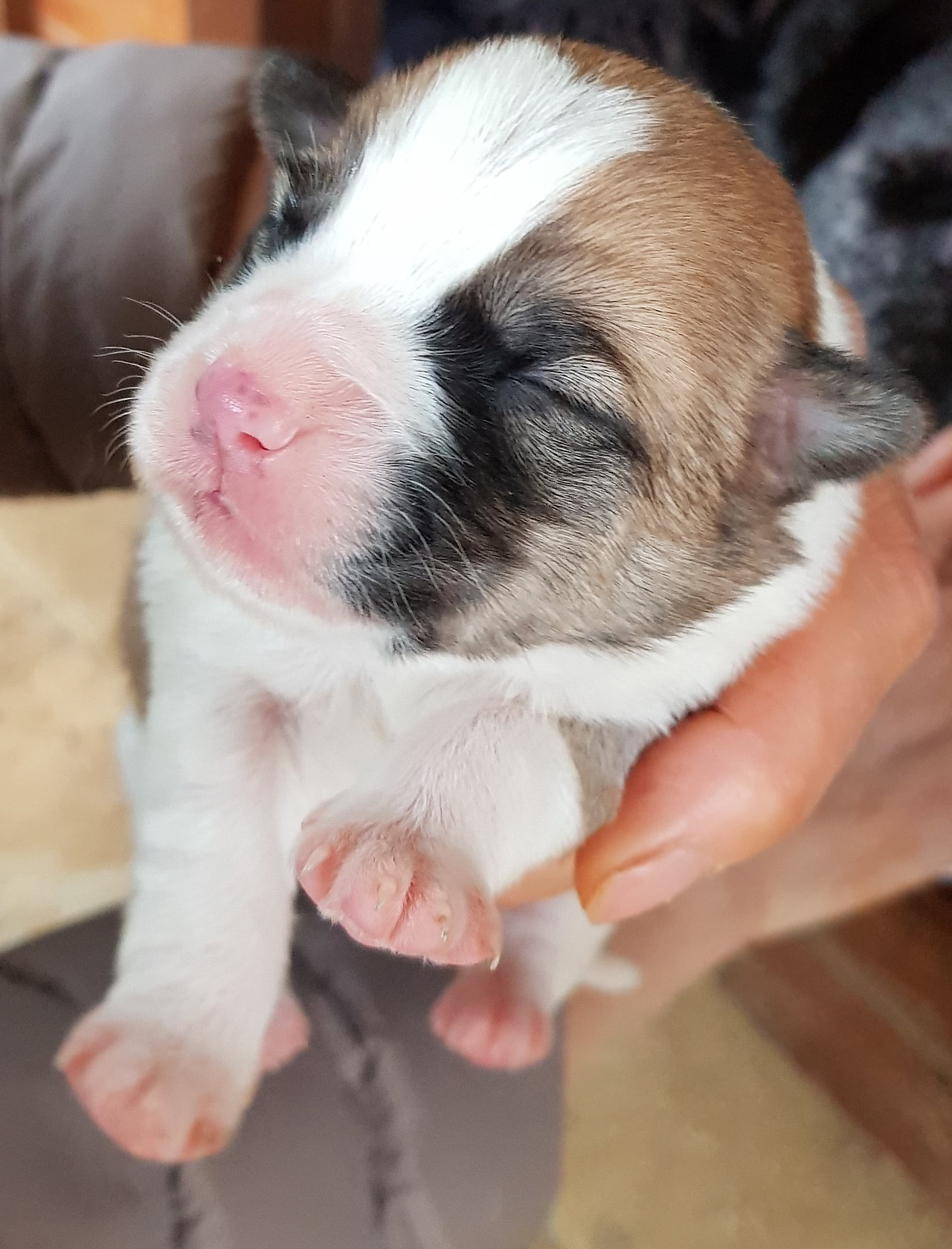 가을이 탄생2.jpg