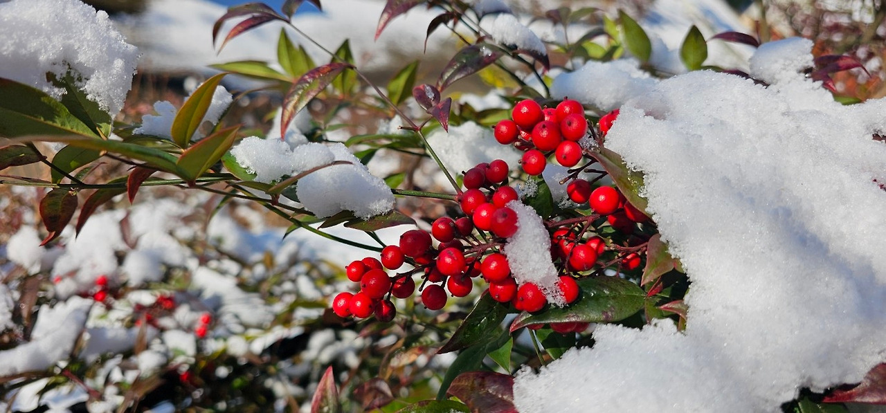 Emotion_Here and Now_writer_사진_20251205_10.jpg