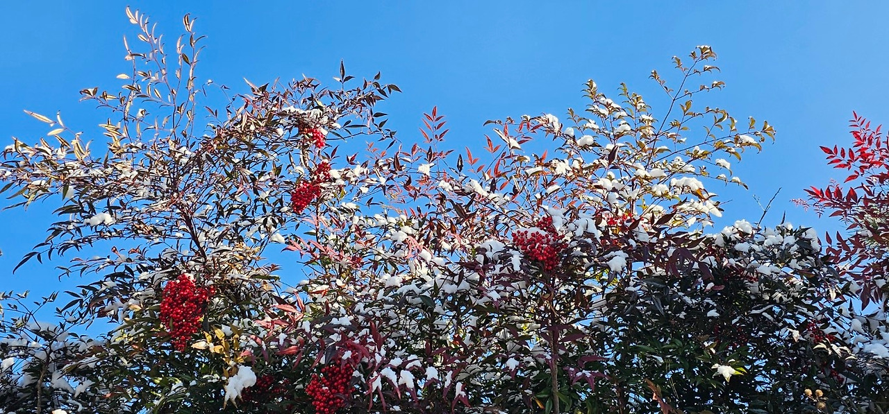 Emotion_Here and Now_writer_사진_20251205_13.jpg