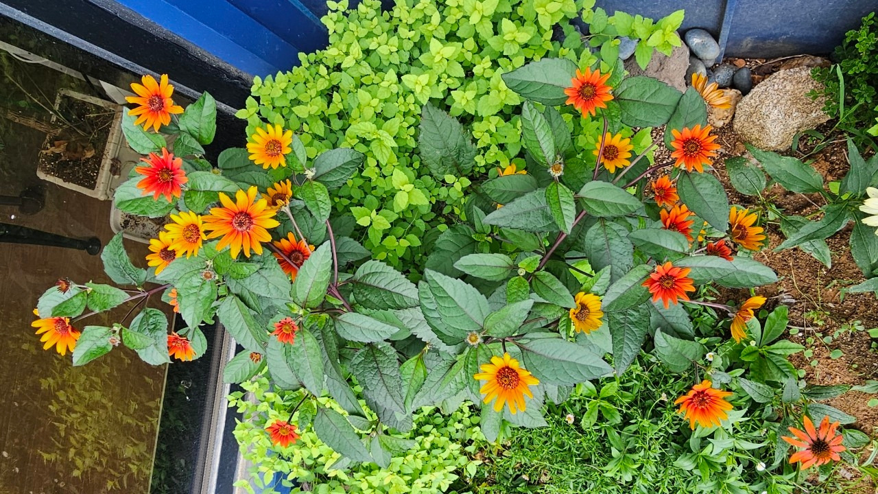 Emotion_Here and Now_writer_사진_20250728_24.jpg