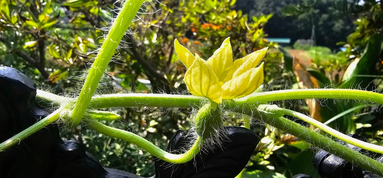 Emotion_Here and Now_writer_사진_20250806_13.jpg