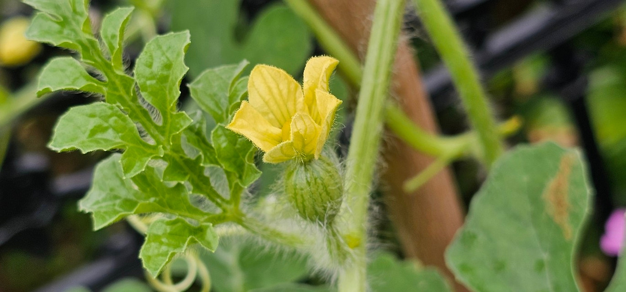 Emotion_Here and Now_writer_사진_20250806_9.jpg