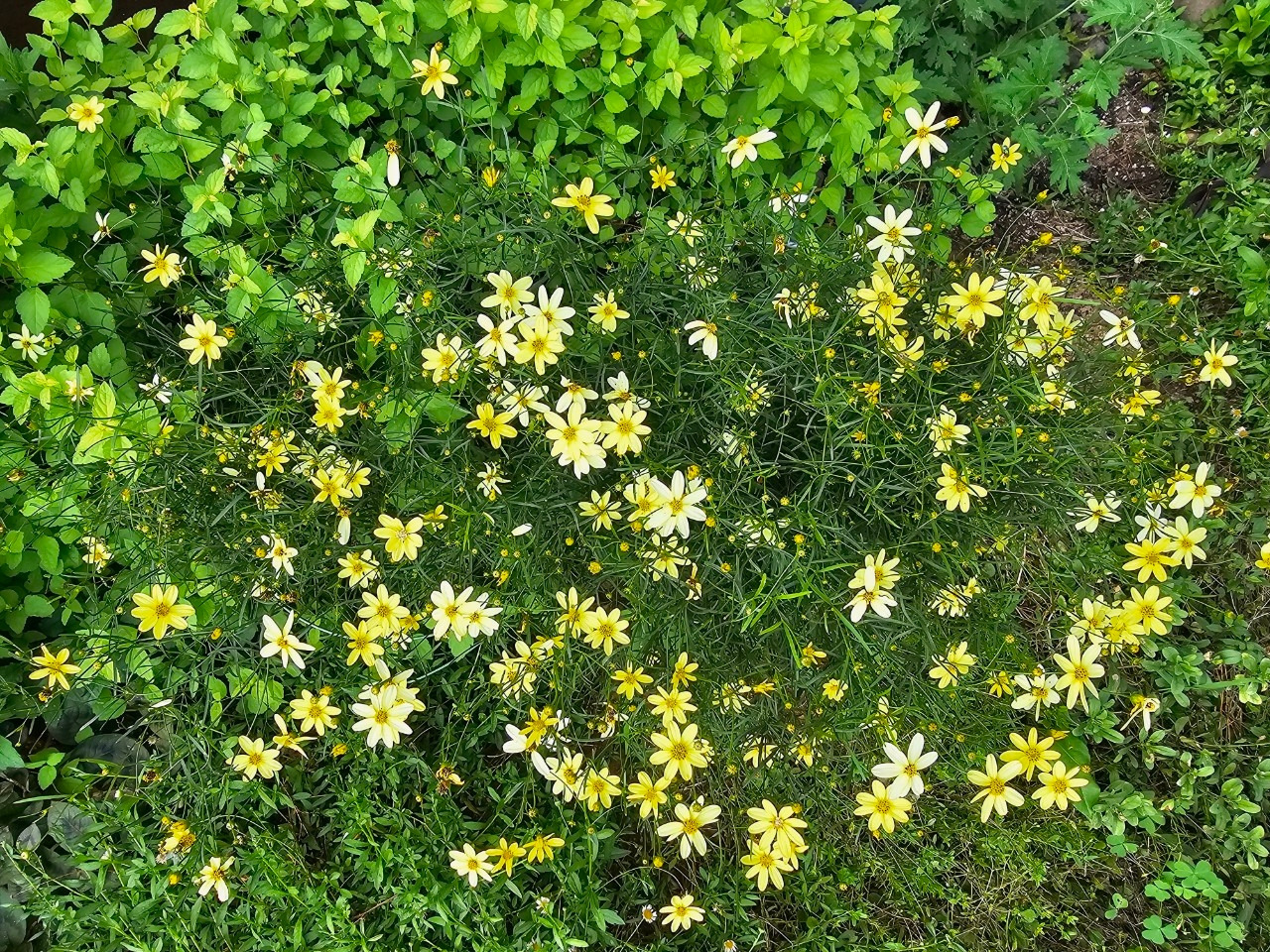 Emotion_Here and Now_writer_사진_20250728_8.jpg